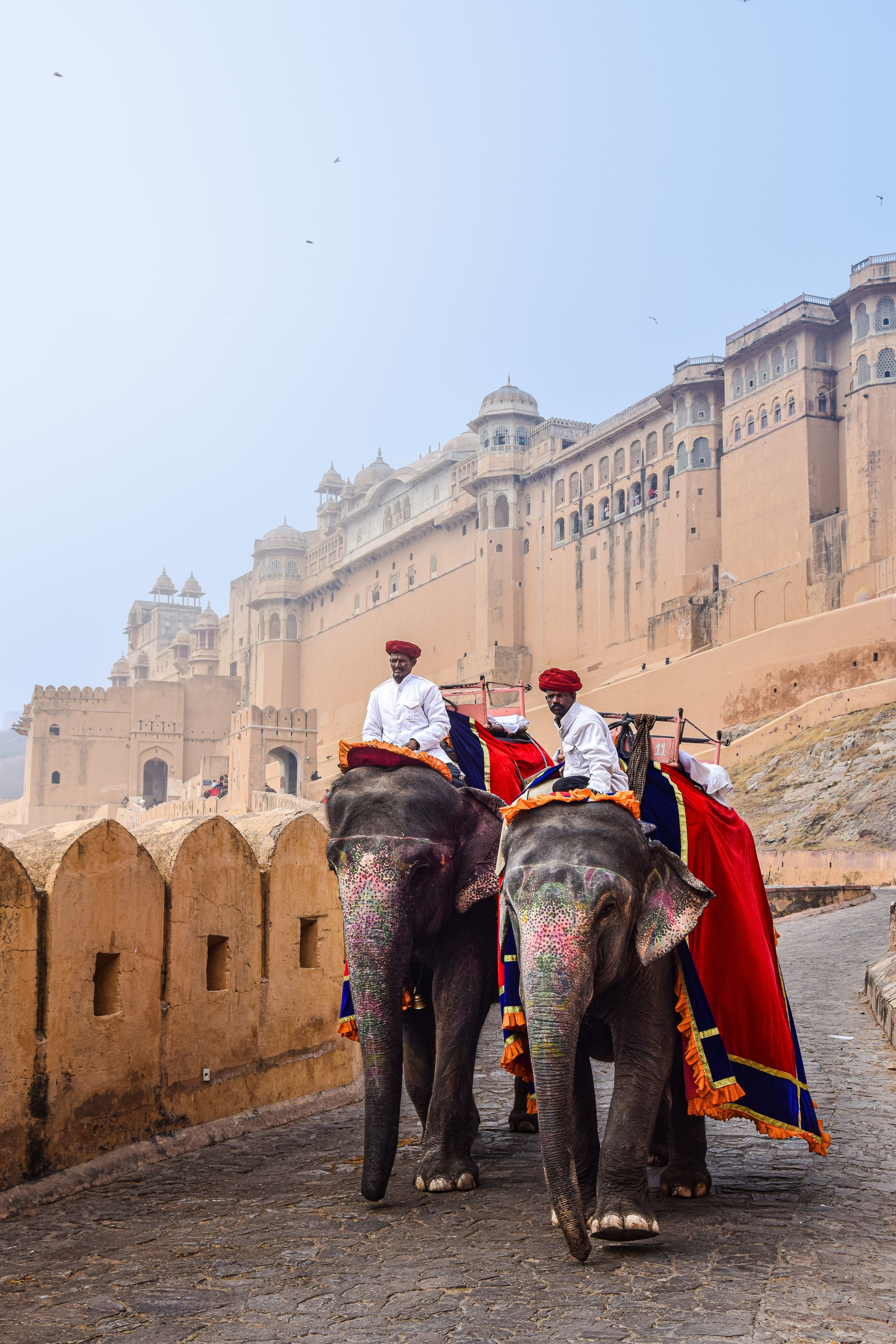 Jodhpur blue city heritage
